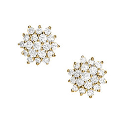 EARRINGS CLUSTER